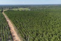 Homesite for sale in Appling County, Georgia