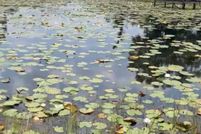 Land for sale in Putnam County, Florida