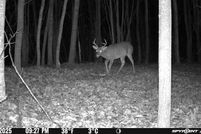 Land for sale in Cheboygan County, Michigan