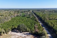 Land for sale in Brantley County, Georgia