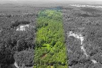 Undeveloped Land for sale in Monroe County, Georgia