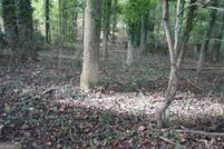 Land for sale in Franklin County, Georgia
