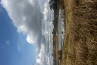 Undeveloped Land for sale in Winston County, Alabama