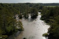 Land for sale in Gibson County, Tennessee