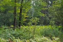 Land for sale in Ontonagon County, Michigan