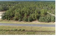 Land for sale in Levy County, Florida