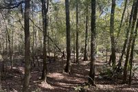 Land for sale in Pulaski County, Georgia