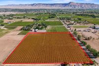 Undeveloped Land for sale in Mesa County, Colorado