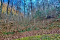 Land for sale in Fannin County, Georgia