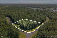 Undeveloped Land for sale in Pamlico County, North Carolina