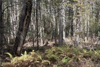 Land for sale in Sullivan County, New York