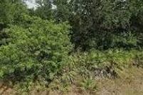 Land for sale in Lee County, Florida