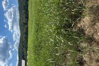 Land for sale in Izard County, Arkansas