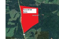 Undeveloped Land for sale in Crittenden County, Kentucky