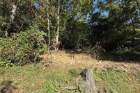 Land for sale in Lincoln County, West Virginia