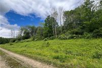 Land for sale in Cattaraugus County, New York