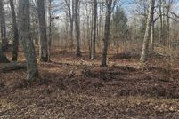 Land for sale in Langlade County, Wisconsin