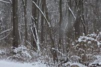 Oceanfront Property for sale in Allegan County, Michigan