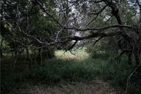 Land for sale in Nueces County, Texas