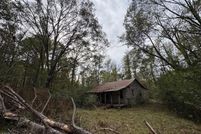 Homesite for sale in Wilkinson County, Mississippi