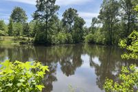 Undeveloped Land for sale in Panola County, Texas