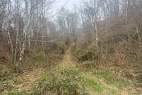 Undeveloped Land for sale in Ashtabula County, Ohio