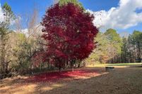 Homesite for sale in Greensville County, Virginia