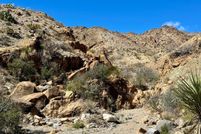 Land for sale in Brewster County, Texas