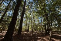 Land for sale in Washington County, Alabama