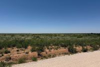 Land for sale in Gaines County, Texas