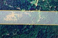 Land for sale in Cass County, Texas