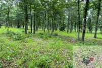 Land for sale in Lafayette County, Arkansas