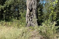 Land for sale in Cass County, Texas