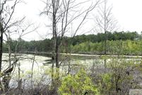 Land for sale in Cass County, Texas