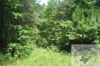 Land for sale in Cass County, Texas