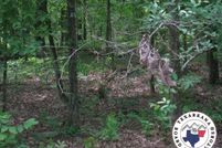 Land for sale in Lafayette County, Arkansas