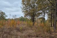 Land for sale in Red River County, Texas