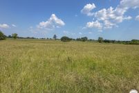 Undeveloped Land for sale in Bowie County, Texas