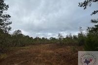 Land for sale in Cass County, Texas