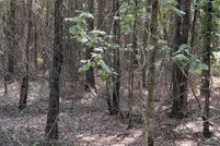 Land for sale in Miller County, Arkansas