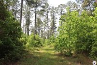 Land for sale in Nevada County, Arkansas
