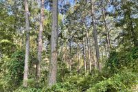 Land for sale in Cass County, Texas