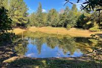 Land for sale in Cass County, Texas