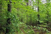 Undeveloped Land for sale in Scott County, Tennessee