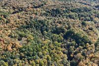 Land for sale in Gallia County, Ohio