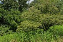 Homesite for sale in Lawrence County, Kentucky