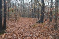 Land for sale in Christian County, Missouri