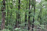 Land for sale in Fulton County, Arkansas