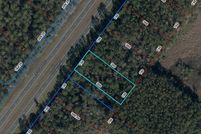 Undeveloped Land for sale in Levy County, Florida