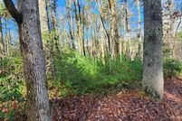 Land for sale in Fannin County, Georgia